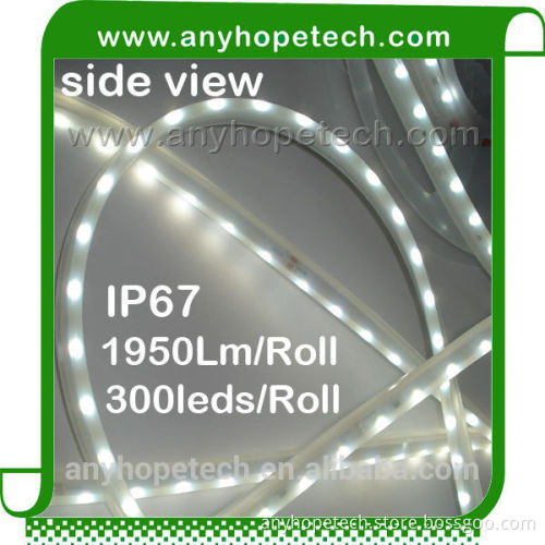 Hot Selling DC24V 6000K 300LEDs smd led flexible ribbon light